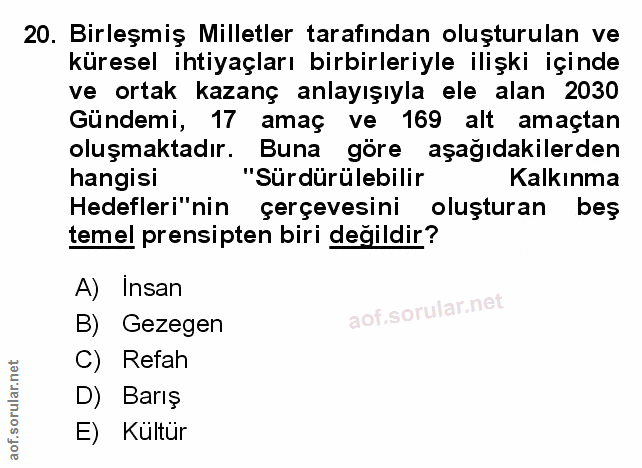Soru 20