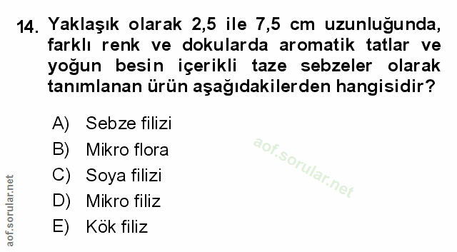 Soru 14