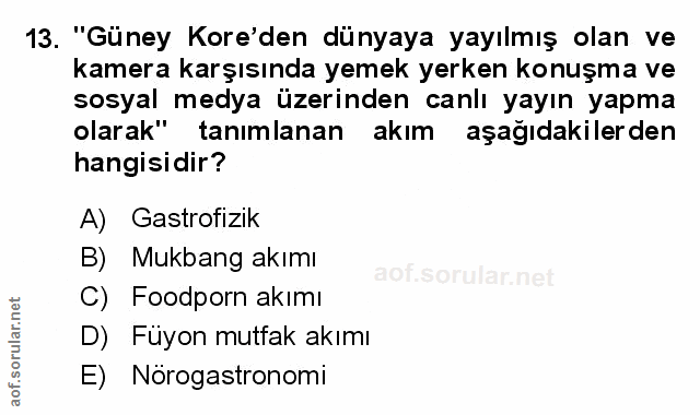 Soru 13