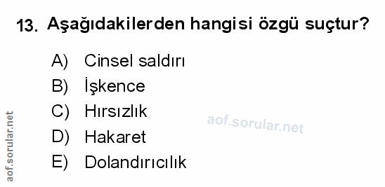 Soru 13