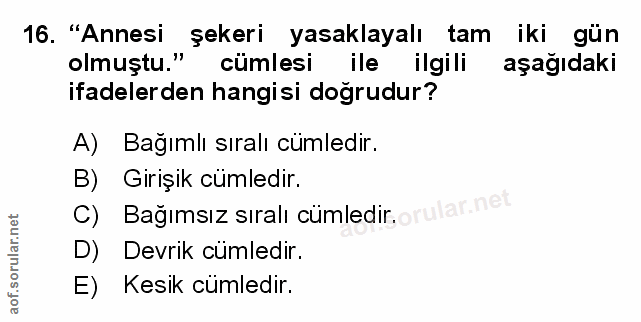 Soru 16