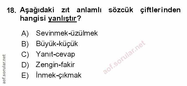 Soru 18