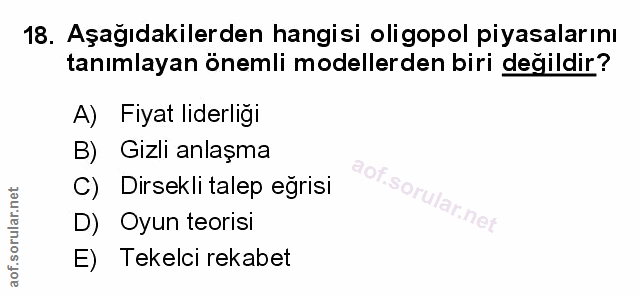 Soru 18