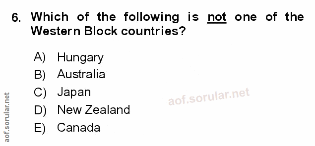 Soru 6
