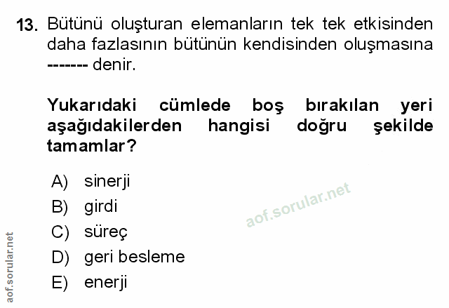 Soru 13