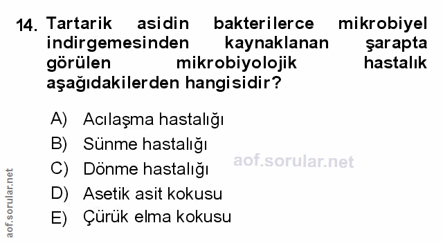 Soru 14
