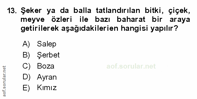 Soru 13