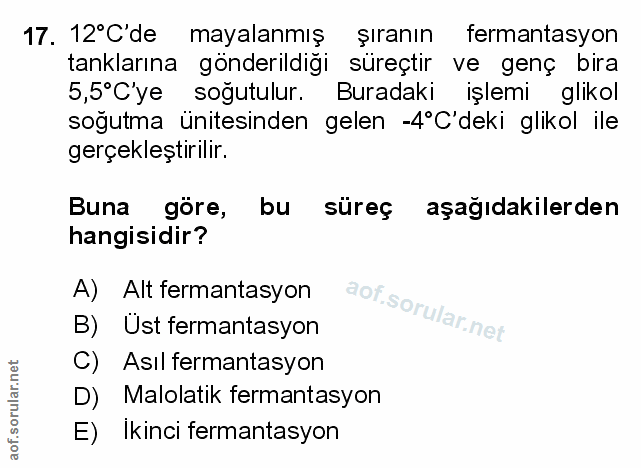 Soru 17