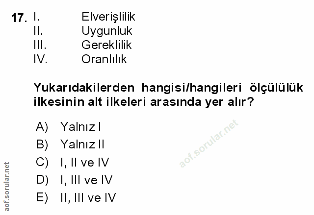 Soru 17