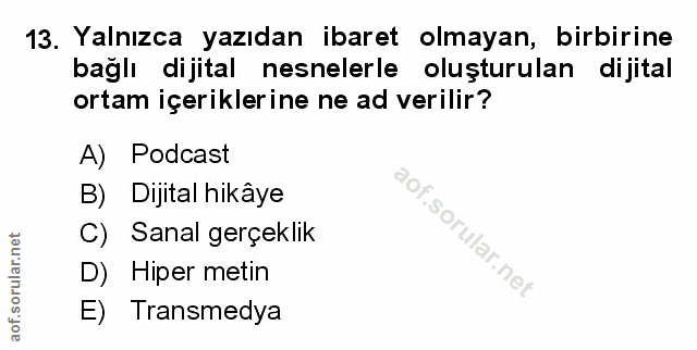 Soru 13