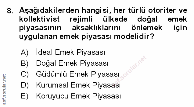 Soru 8