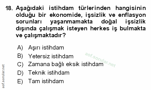 Soru 18