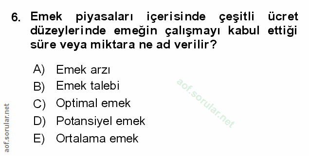 Soru 6