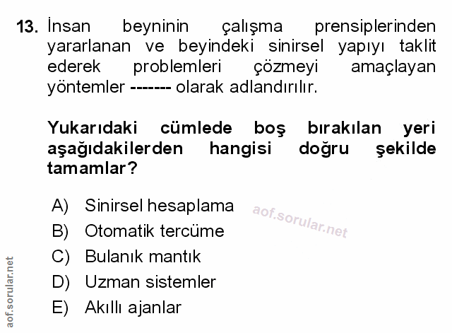 Soru 13