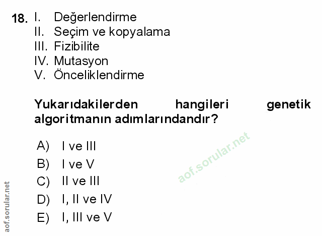Soru 18