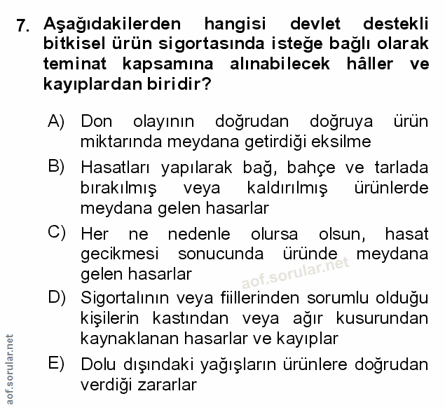 Soru 7