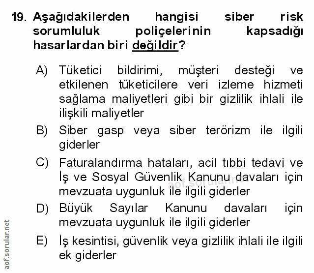 Soru 19