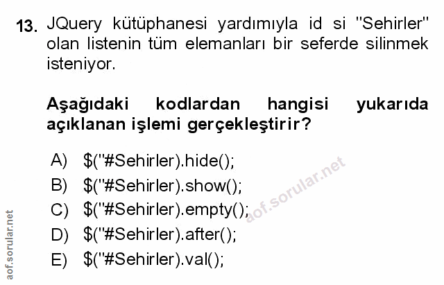 Soru 13