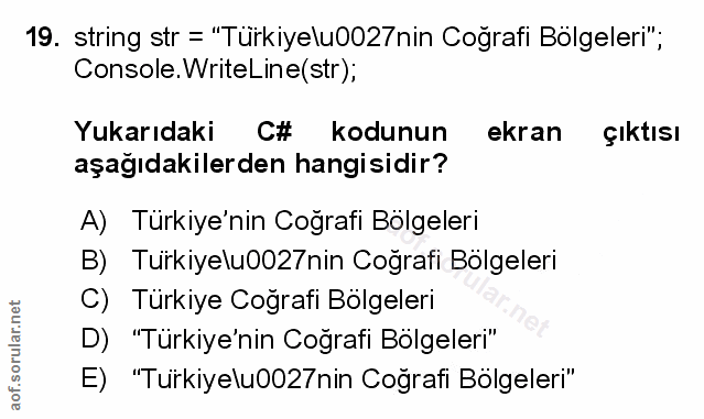 Soru 19