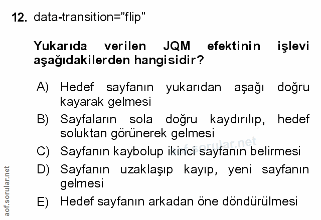 Soru 12
