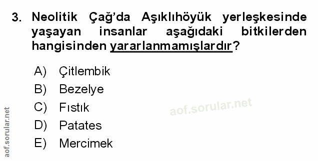 Soru 3