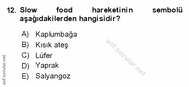 Soru 12