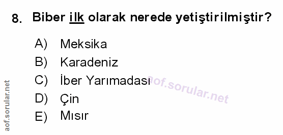 Soru 8