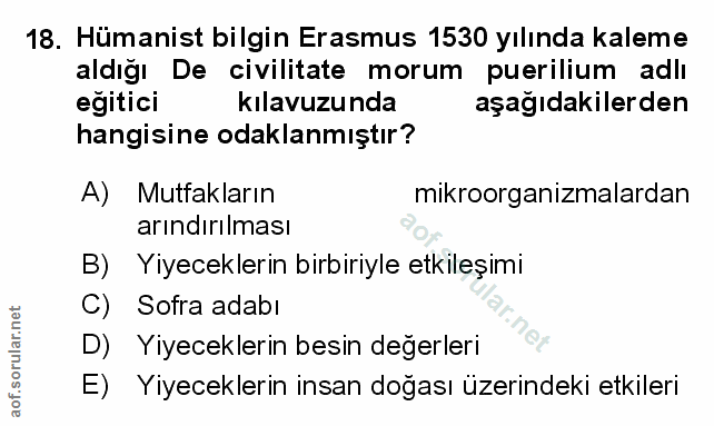 Soru 18