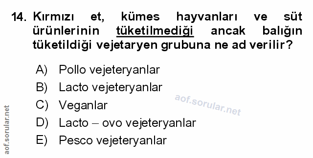Soru 14