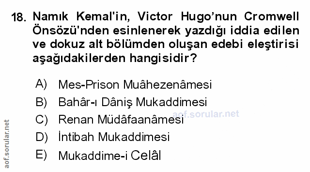 Soru 18