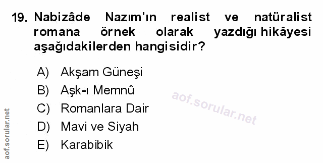 Soru 19