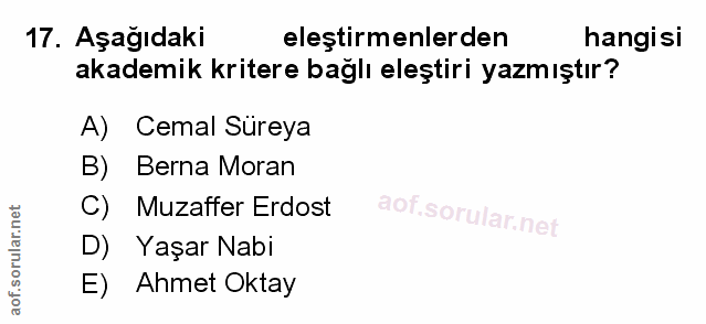 Soru 17