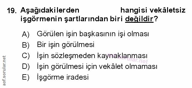 Soru 19