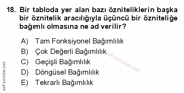 Soru 18