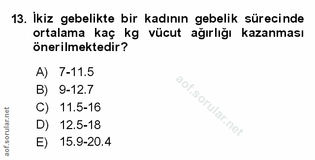 Soru 13