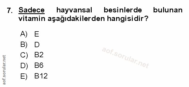 Soru 7