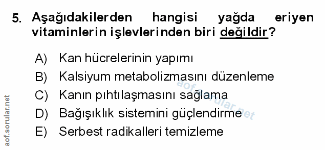 Soru 5