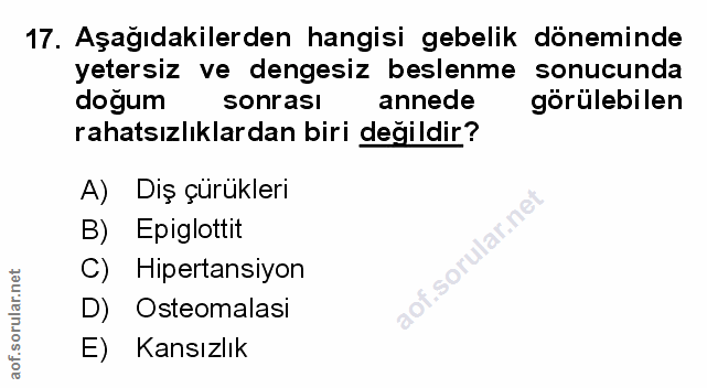 Soru 17