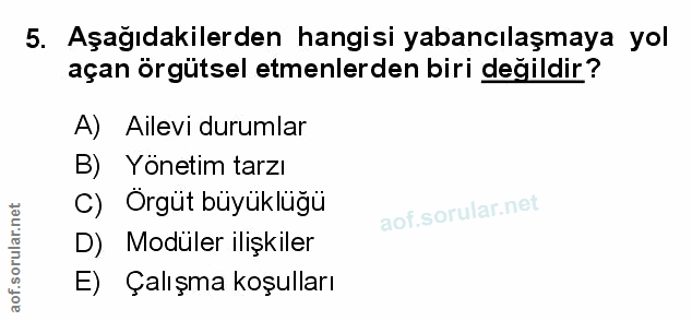 Soru 5