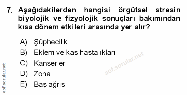 Soru 7