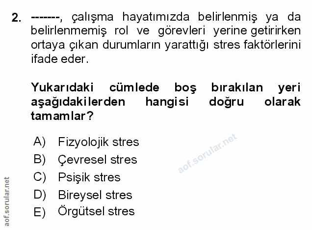 Soru 2