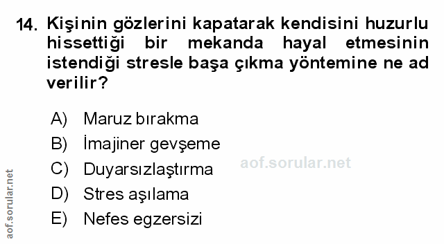 Soru 14
