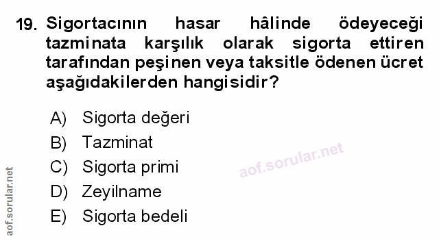 Soru 19