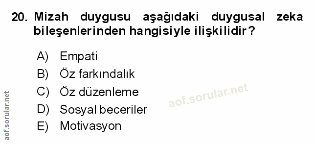 Soru 20
