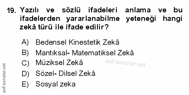 Soru 19