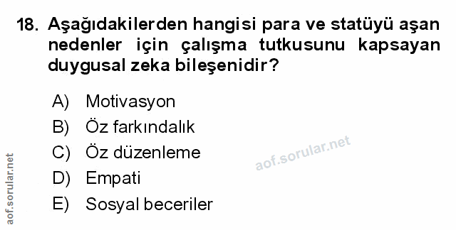 Soru 18