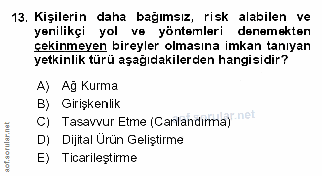 Soru 13