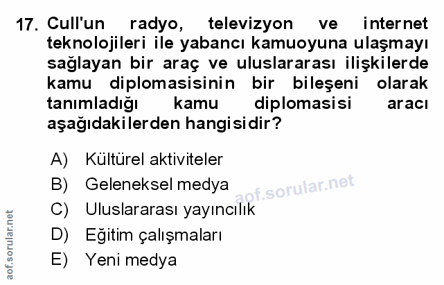 Soru 17