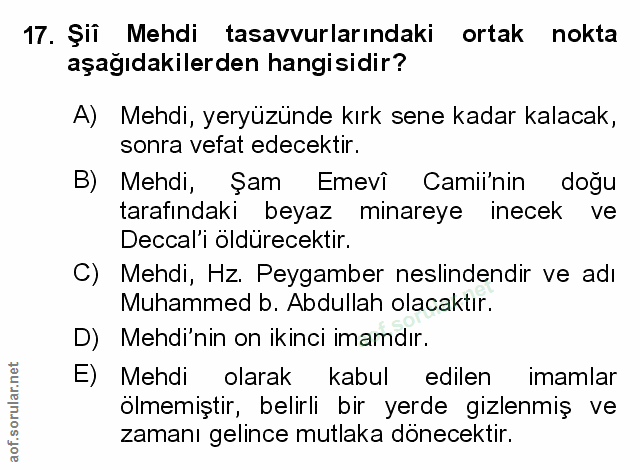 Soru 17