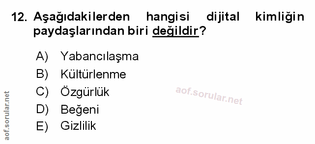 Soru 12